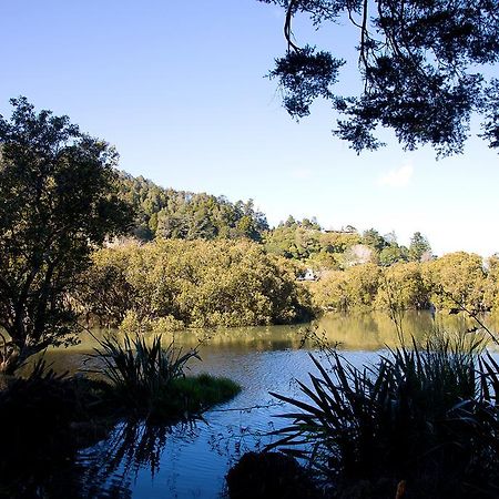 By The Park B & B Whangarei Extérieur photo
