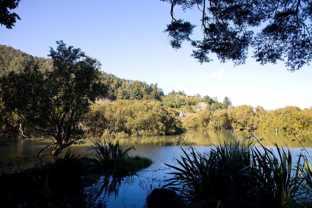 By The Park B & B Whangarei Extérieur photo