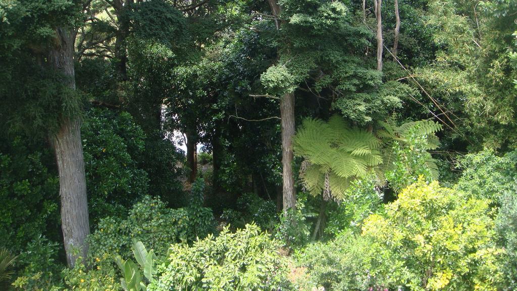 By The Park B & B Whangarei Chambre photo