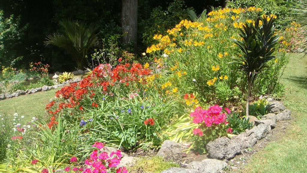 By The Park B & B Whangarei Chambre photo